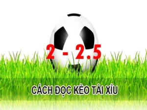 Khám Phá Bí Quyết Chơi Kèo 2.25 Trong Cá Cược Bóng Đá